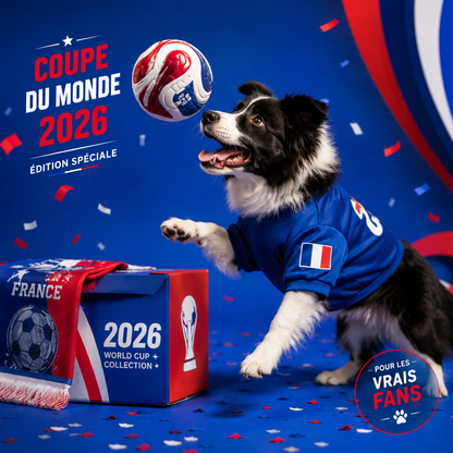 BleuPaw™ | Maillot Chien France