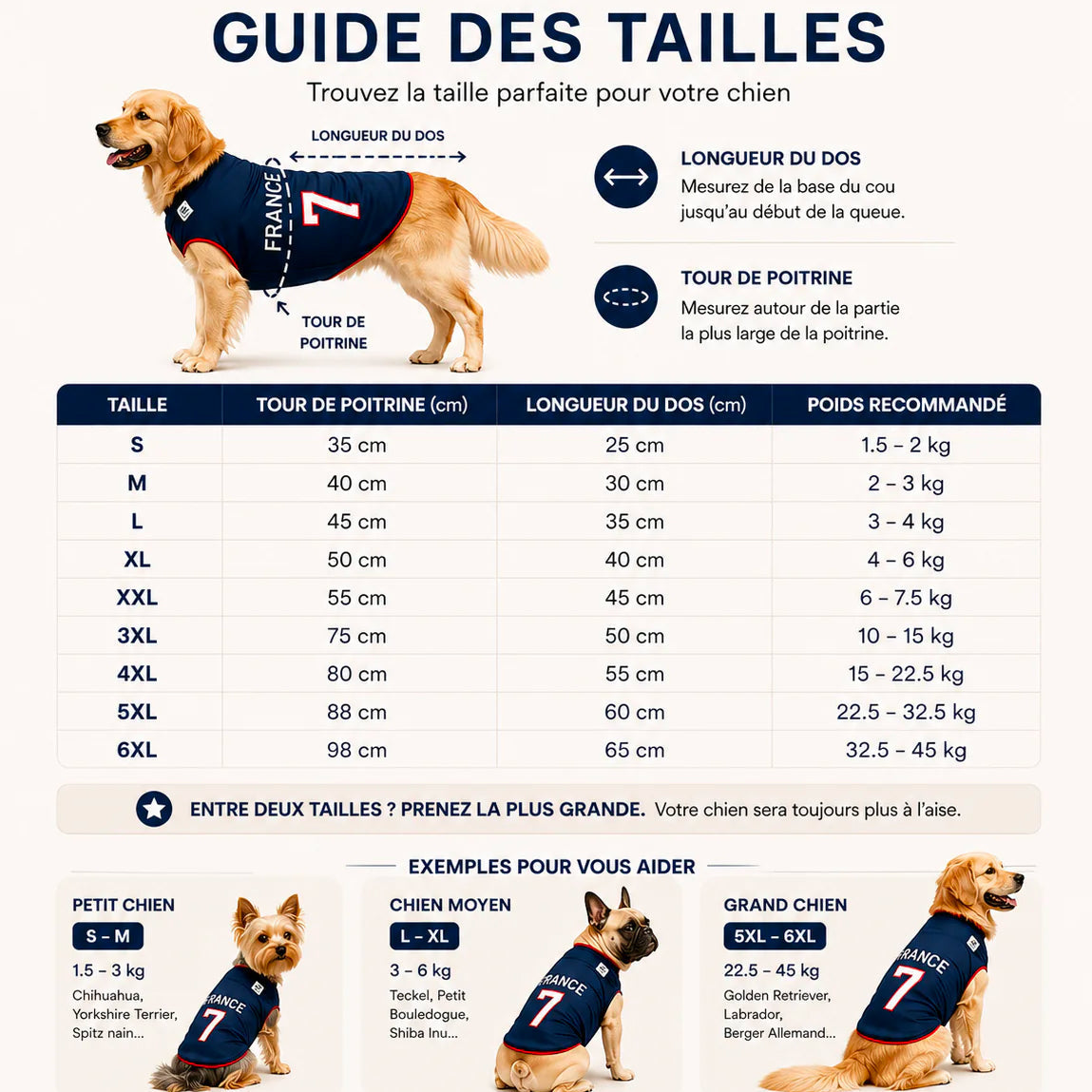 BleuPaw™ | Maillot Chien France